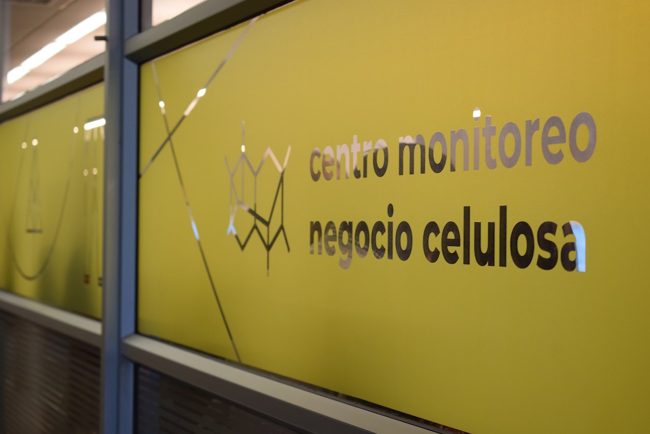 Arauco�w�S�ؘI�ձO���������